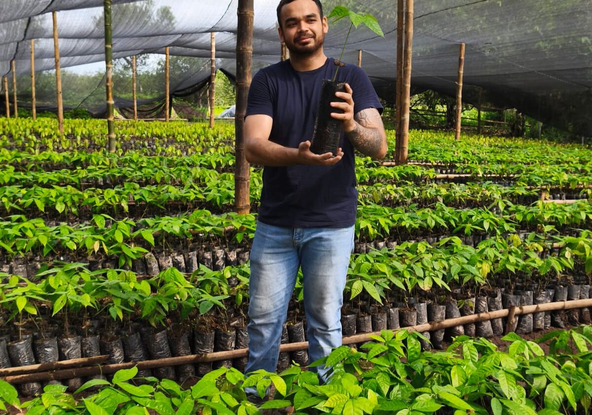 ViveroBeancacaoexport